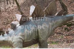 Chest Whole Body Dinosaurus-Stegosaurus Animal photo references