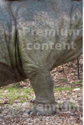 Leg Whole Body Dinosaurus-Stegosaurus Animal photo references