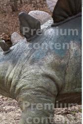 Thigh Whole Body Dinosaurus-Stegosaurus Animal photo references