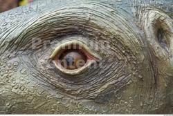 Eye Whole Body Dinosaurus-Stegosaurus Animal photo references