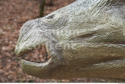 Mouth Whole Body Dinosaurus-Stegosaurus Animal photo references