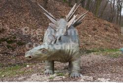 Whole Body Dinosaurus-Stegosaurus Animal photo references