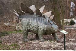 Whole Body Dinosaurus-Stegosaurus Animal photo references