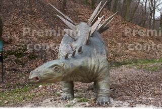 Stegosaurus