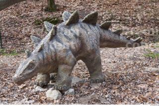 Stegosaurus