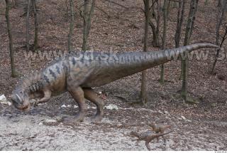 Ceratosaurus