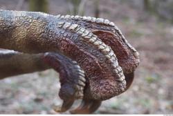 Foot Whole Body Dinosaurus-Saurian Animal photo references