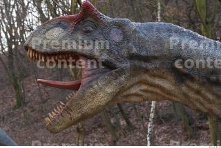 Allosaurus