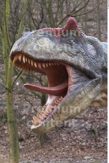 Allosaurus