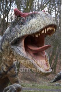 Allosaurus