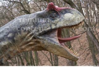 Allosaurus