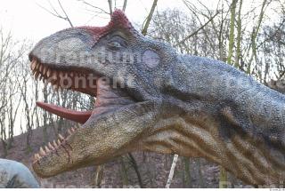 Allosaurus