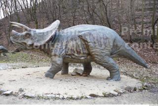 Triceratops