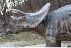 Whole Body Head Dinosaurus-Triceratops Animal photo references