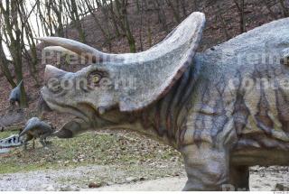 Triceratops