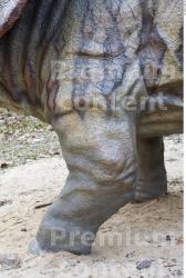 Leg Whole Body Dinosaurus-Triceratops Animal photo references