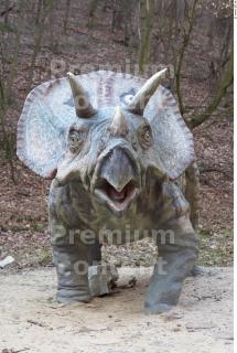 Triceratops