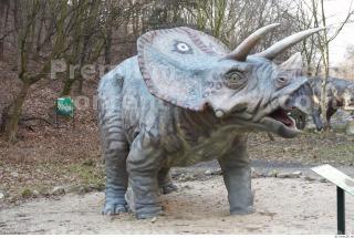 Triceratops