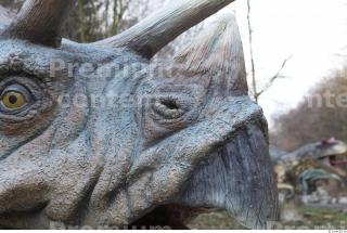 Triceratops