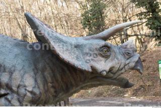 Triceratops