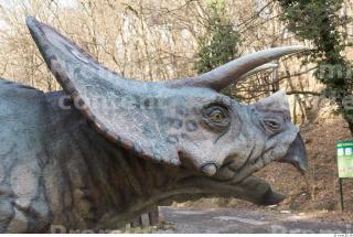 Triceratops