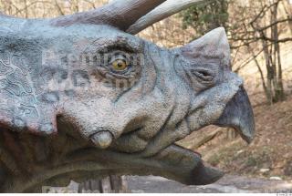 Triceratops