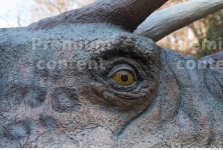 Triceratops