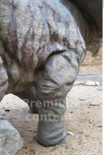 Triceratops