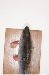 Whole Body Fish