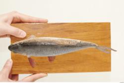 Whole Body Fish