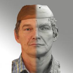 Head Man White Average 3D Scans