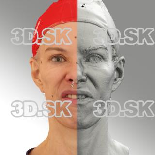 3D head scan of FV - Bolard