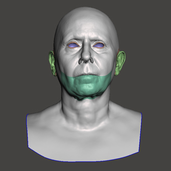 Head Woman White Bald 3D Retopologised Heads