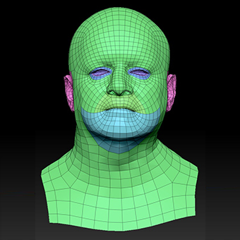 Head Man White Bald 3D Retopologised Heads