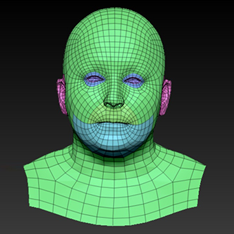 Head Woman White Bald 3D Retopologised Heads