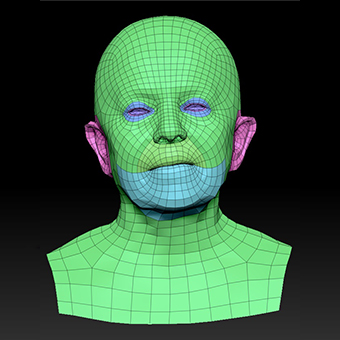 Head Woman White Bald 3D Retopologised Heads