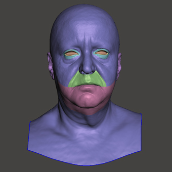 Head Woman White Bald 3D Retopologised Heads