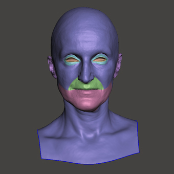 Head Woman White Bald 3D Retopologised Heads