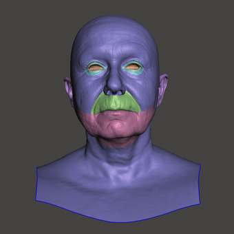 Head Woman White Bald 3D Retopologised Heads