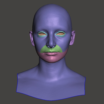 Head Woman White Bald 3D Retopologised Heads