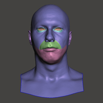 Head Man White Bald 3D Retopologised Heads