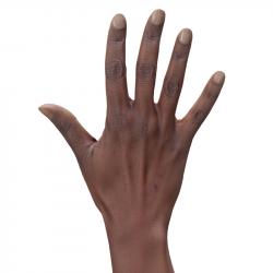 Bshara Henry Retopo Hand Scan