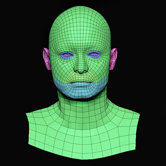 Head Man White Bald 3D Retopologised Heads