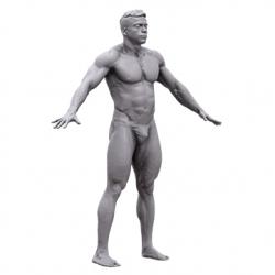 Roman Base Scan Body Nude