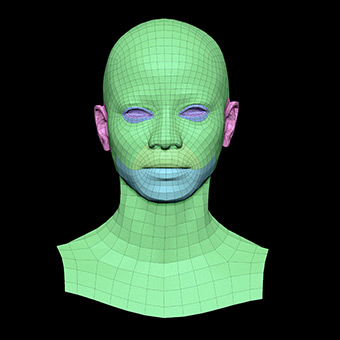 3D Retopologised Heads