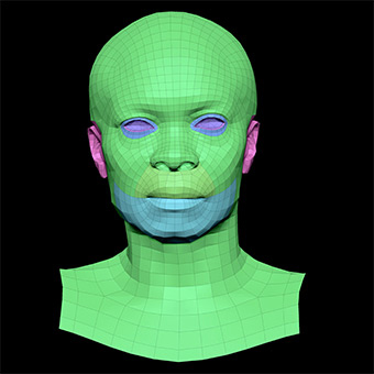 3D Retopologised Heads