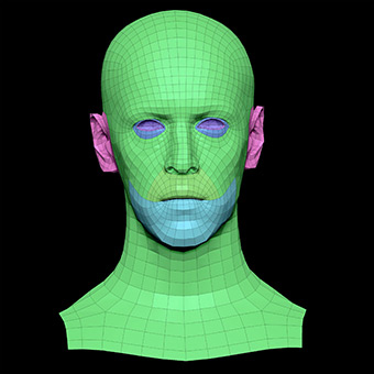 3D Retopologised Heads