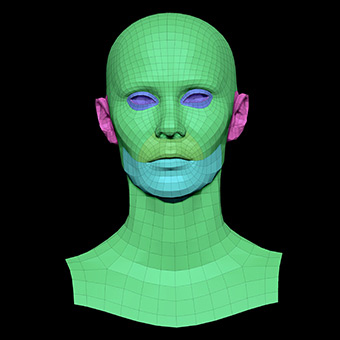 3D Retopologised Heads