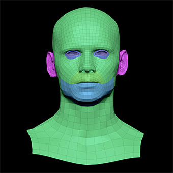 3D Retopologised Heads