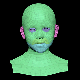 3D Retopologised Heads